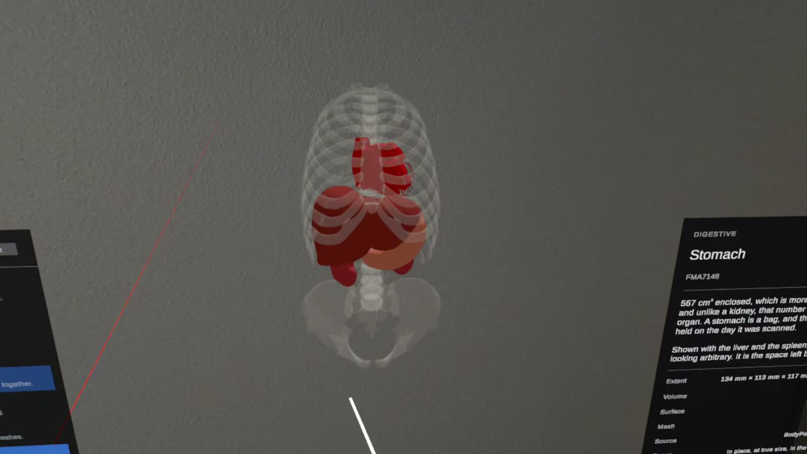 Organs at true size inside the torso skeleton, in a room on Quest