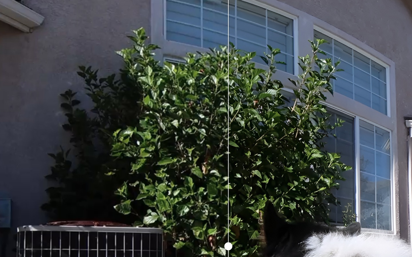 Before and After comparison